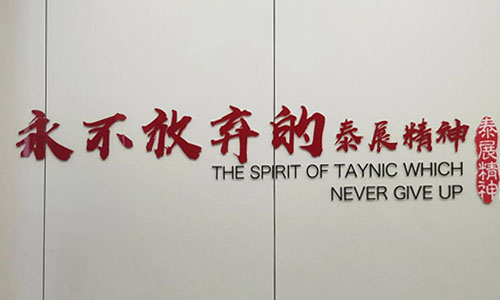 “永不放棄”的泰（tài）展精（jīng）神（shén）