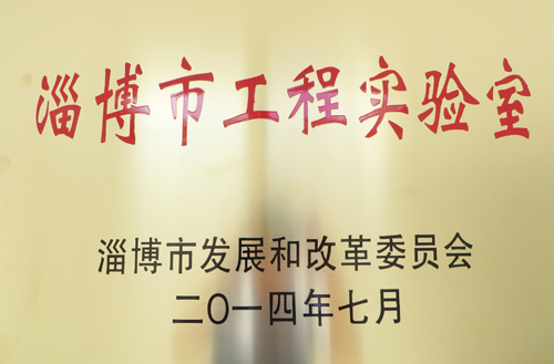 2014年淄博（bó）市工程實驗室