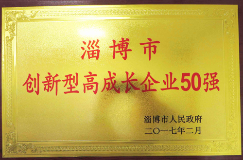 2017年創新型高成長企業50強